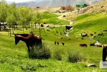 روستای بلرتو بهترین روستای ملایر 95 آیا تا به الان به روستای بلرتو سفر کرده اید؟ با نوت روز همسفر این مطلب در belerto باشید.